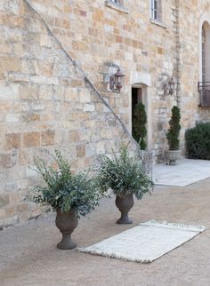 two vases with plants in front of an old stone building on a white rug