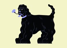 a black dog with a blue bow on its neck and tail standing in front of a yellow background