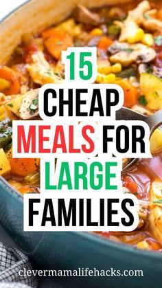 a large pot filled with lots of food and the words 15 cheap meals for large families