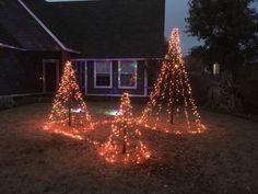 lighted christmas trees in front of a house