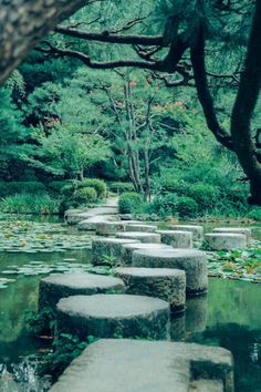 stepping stones in the middle of a pond with water lillies and trees around it