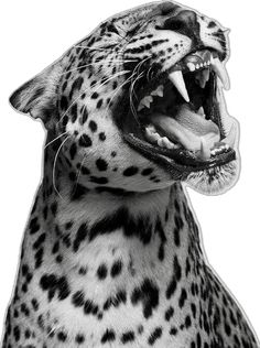 a black and white photo of a cheetah with it's mouth open