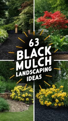 the black mulch landscaping ideas are great for small gardens and lawns, so you can use them in your yard or garden