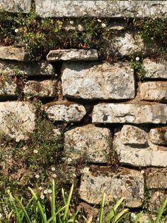 an old stone wall with weeds growing on it