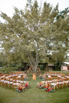 an outdoor wedding setup with wooden chairs and floral centerpieces on the grass under a large tree