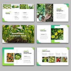 a green and white brochure with images of fruits, vegetables and other things