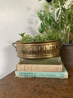 two books are stacked on top of each other near a planter with plants in it