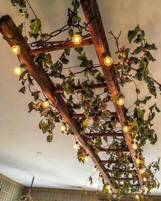 a wooden structure with lights hanging from it's sides and vines on the ceiling