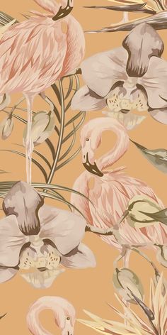 pink flamingos and white orchids on an orange background