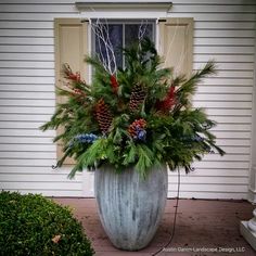 a large potted plant with pine cones and evergreens in front of a house