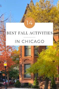 Who’s ready for a round-up of the best fall activities in Chicago?? While fall officially started on September 23rd this year, the weather in Chicago hasn’t really felt like fall until this week! Because of that, I’ve been holding on to the last bit of summer for as long as I could, but now it’s time to fully embrace fall y’all. Chicago Activities, Chicago Cocktail, Rooftop Cinema, Chicago Fall, Days Until Halloween, The Catacombs