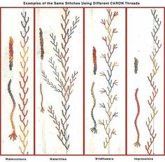 four different types of plants that are in the same pattern, each with their own name