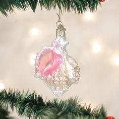 an ornament hanging from a christmas tree