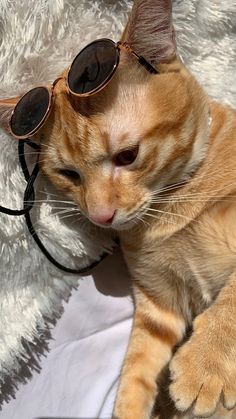 an orange cat wearing sunglasses laying on top of a white blanket