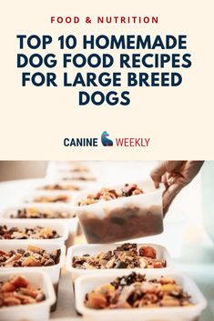 the top 10 homemade dog food recipes for large breed dogs