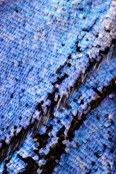 an abstract image of blue and black tiles