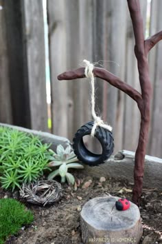 an old tire is tied to a tree branch with rope and some other things around it