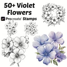 some flowers that are drawn in pencil and ink with the words, 50 + violett flowers