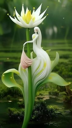 two white flowers sitting on top of a green leaf covered field next to a body of water