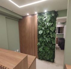 an office with a green wall and wooden desks