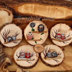 several pieces of wood that have been decorated with owls on them, and are sitting in the center of each piece