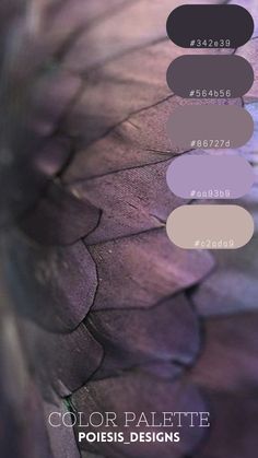 the color palette for poiseis designs is shown in shades of purple, green and grey