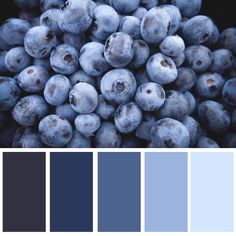 the color scheme for blueberries is shown in shades of gray, black and white