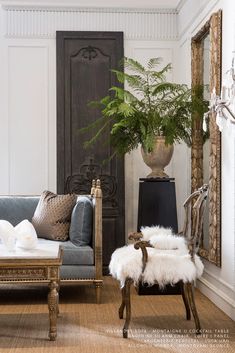 a living room filled with furniture and a potted plant