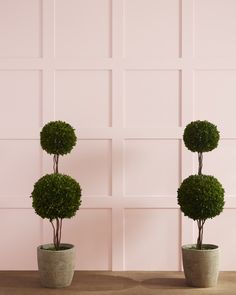 two potted plants sitting next to each other on top of a wooden table in front of a pink wall