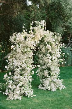 an arrangement of white flowers on the grass in front of some trees and shrubbery