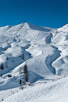 a ski slope with many skiers and trees in the snow on it's sides