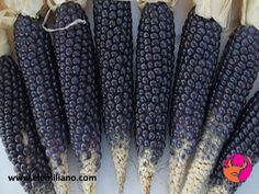 an arrangement of black and white corn on the cob