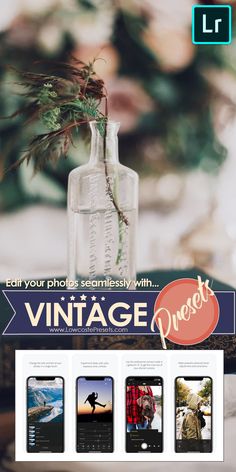 an image of a bottle with some plants in it and the caption reads vintage photos