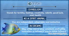 a poster with words describing the different types of fish