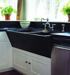 a kitchen sink sitting under a window next to a dishwasher and a potted plant