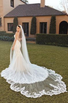 Sophia Tolli Accessories One Size / Ivory Sophia Tolli: Y3100VEIL Bride Veil Long, Cathedral Wedding Veil, Sophia Tolli, Beautiful Veil, Fairy Tale Wedding Dress, Cathedral Wedding, Pretty Wedding Dresses, Wedding Dress With Veil, Lace Vintage