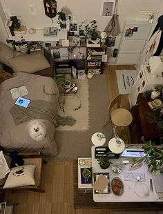 cozy bedroom inspo Study Aesthetic Bedroom, Apartment Room Ideas Minimalist, Lazy Bedroom Aesthetic, Plant Room Aesthetic Bedroom Minimalist, Douyin Room Aesthetic, Bedroom Layout Aesthetic, Guys Room Aesthetic Vintage, How To Set Up Room, Room Layout Aesthetic