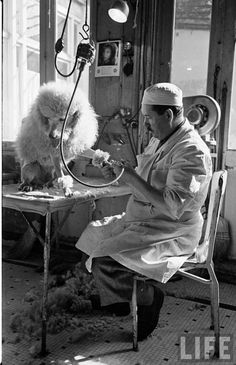 an old black and white photo of a person sitting at a table with a dog