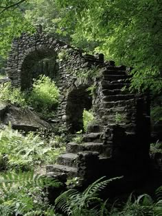 an old stone bridge surrounded by trees and ferns