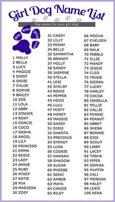 Dog Name List, Dogs Names List, Girl Dog Names, Female Dog Names, Stephen Kings, Names List, Names Girl, Puppy Names