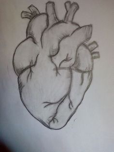 a drawing of a heart on a white paper