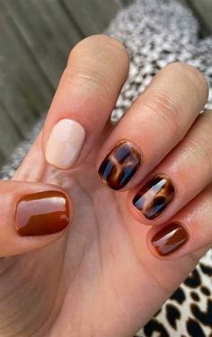 . Autumn Nails Inspo Short, Brown Biab Nail Designs, Fall Nails Pattern, Brown Nails Sns, Tortoise Nails Short, Autumn Biab Nails Short, Short Nails Ideas Brown, Short Mismatched Nails, Fall Nails Short Nails