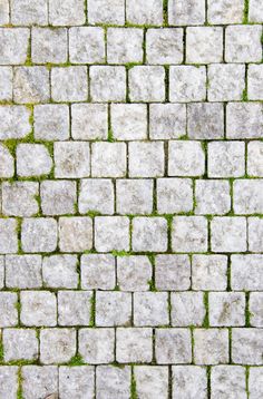 a brick sidewalk with grass growing on it