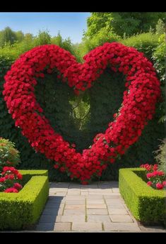 a large heart shaped plant in the middle of a garden