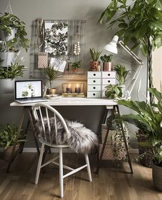 a desk with plants and a laptop on it