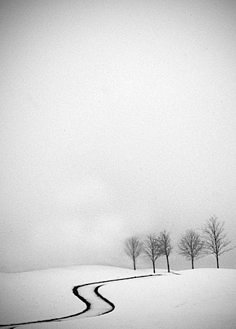 a snow covered field with trees in the distance and a path leading up to it