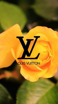 a yellow rose with the louis vuitton logo on it