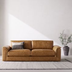 a tan leather couch sitting on top of a rug next to a potted plant