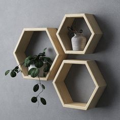 three wooden hexagonal shelves with plants in them on the wall next to each other