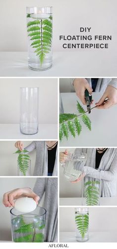 the process to make a fern centerpiece is shown in four different pictures, including one being